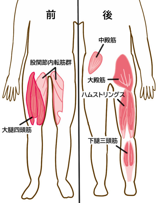 下半身 トレーニング